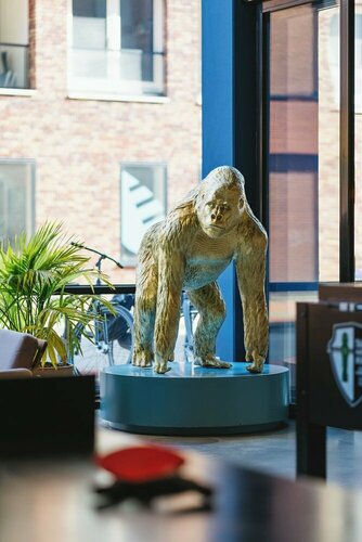 Внешний вид отеля The Social Hub Groningen в Гронингене, фото 5