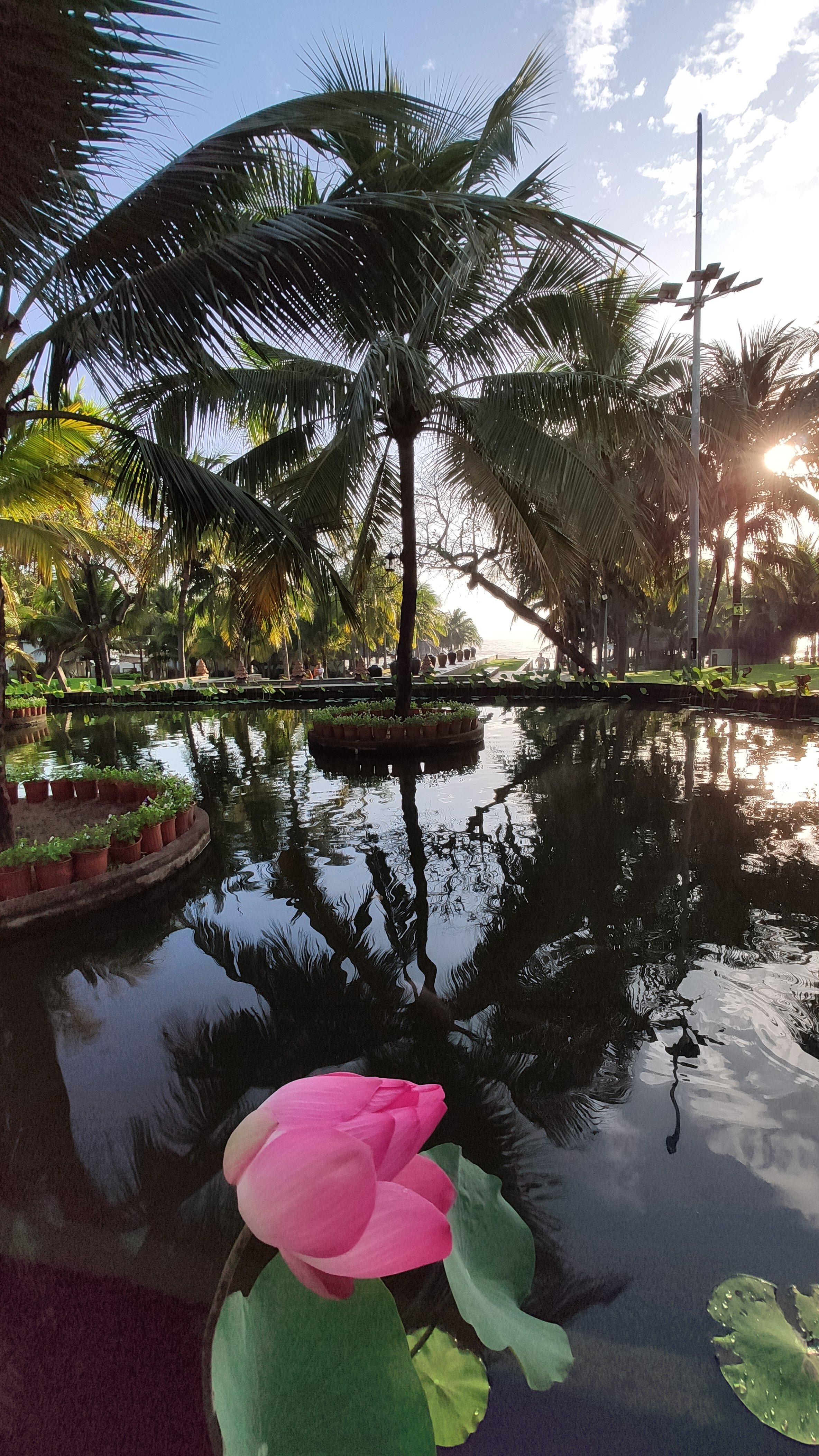 Фото Sonata Resort & SPA