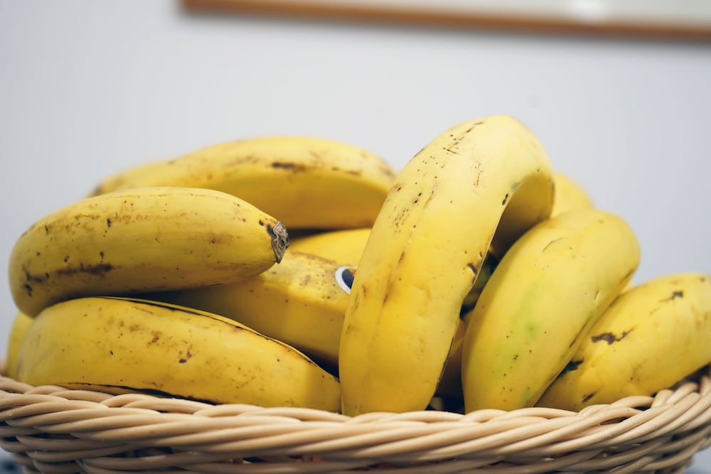 Фото Vila Camacho Guest House