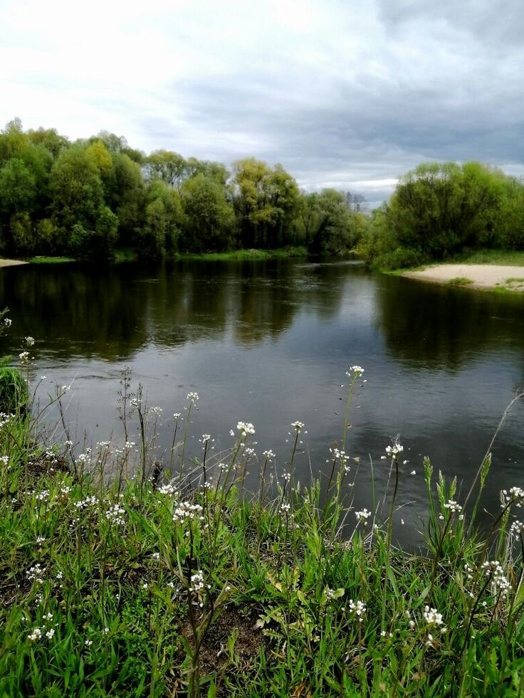 Фото Бурный