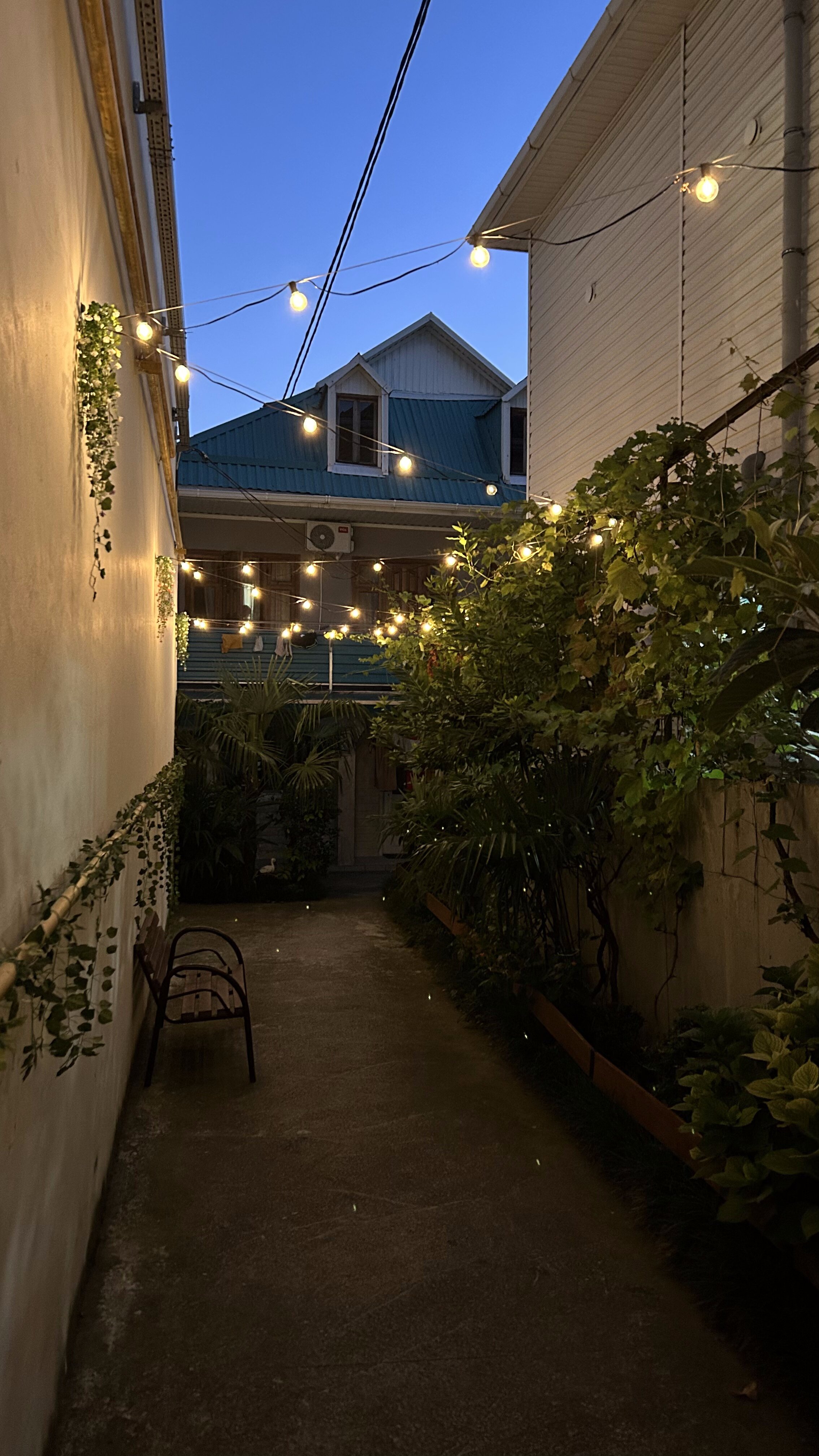 Фото Лазуриус