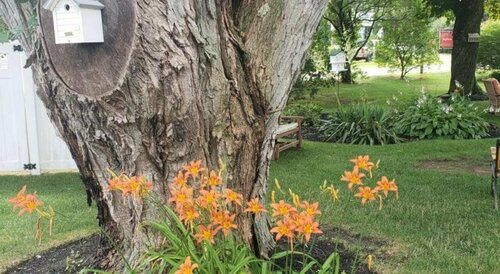 Внешний вид отеля The Elmere House Bed & Breakfast в Уэллсе, фото 5