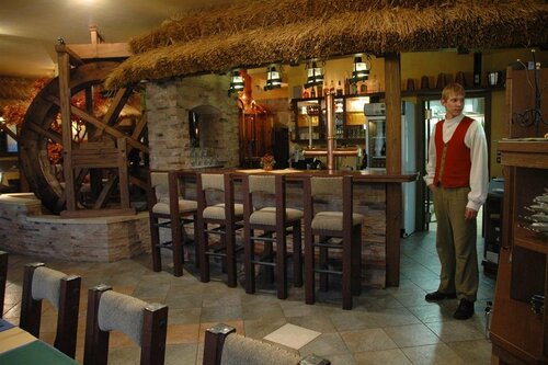 Гостиница Hotel Jelinkova Vila в Тршебиче