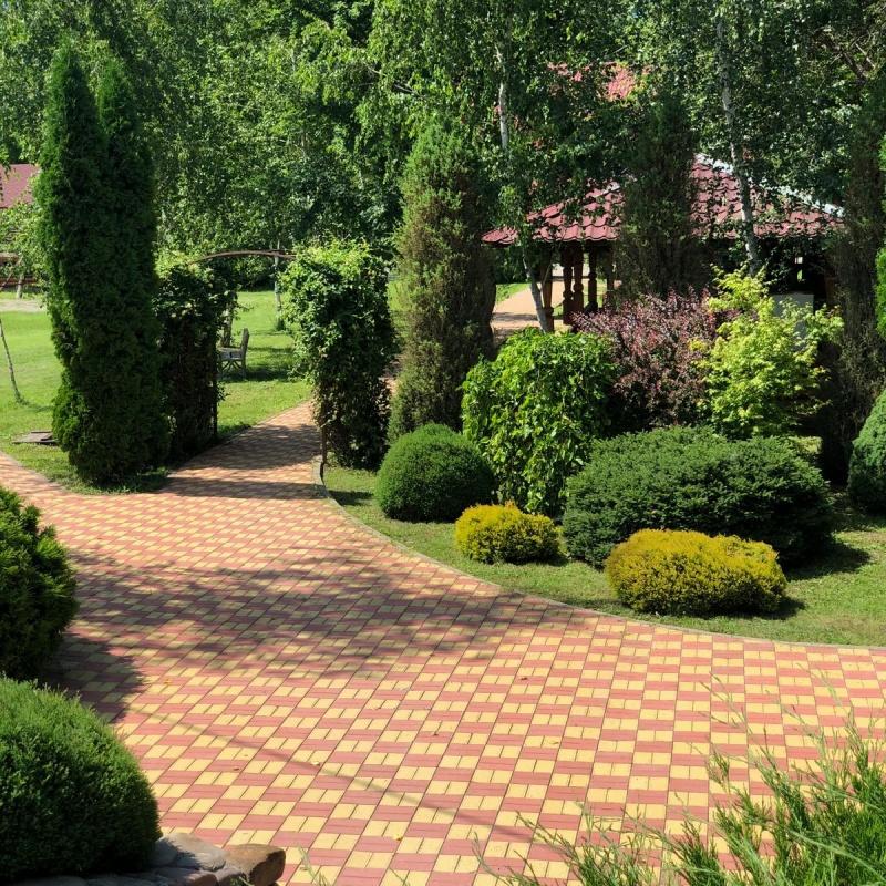 Фото Лукоморье