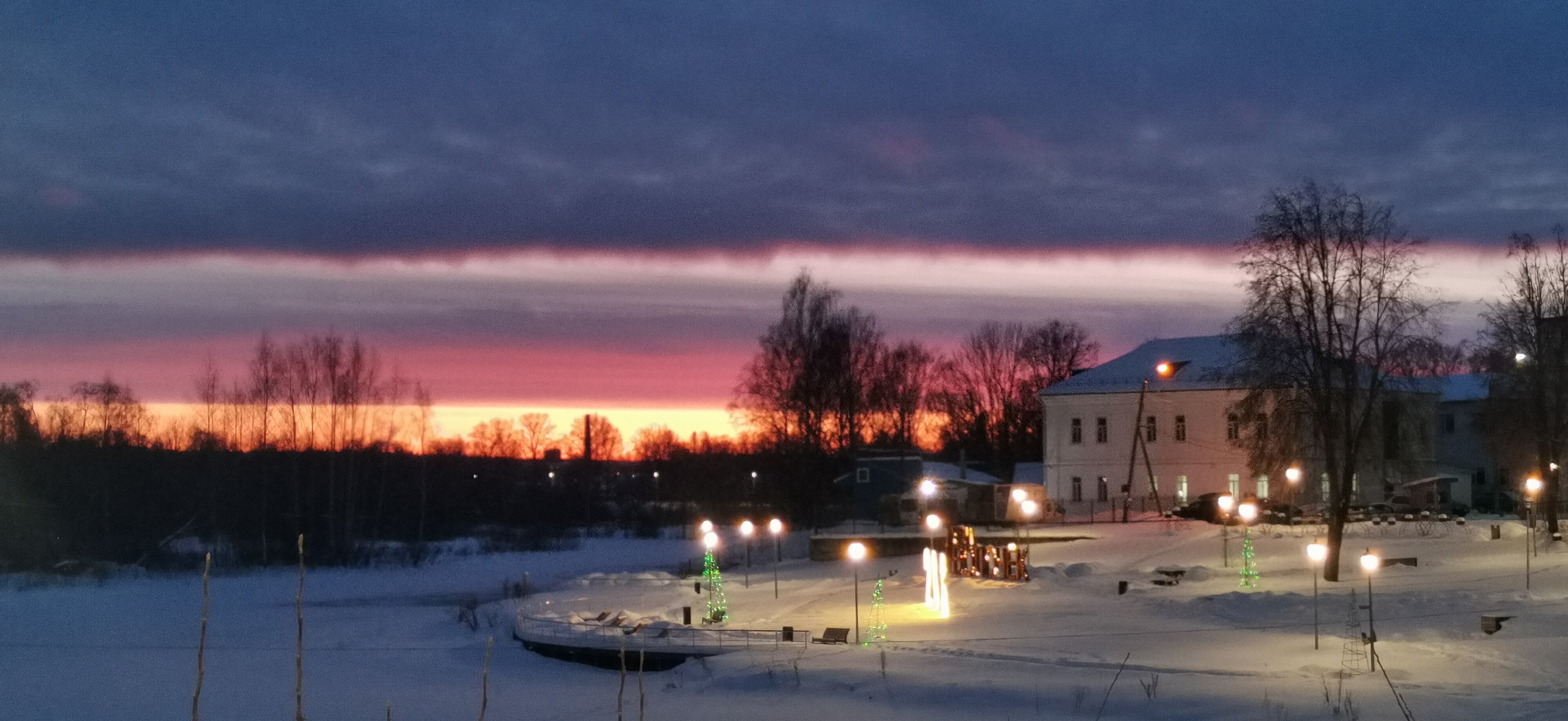 Фото Берёзка