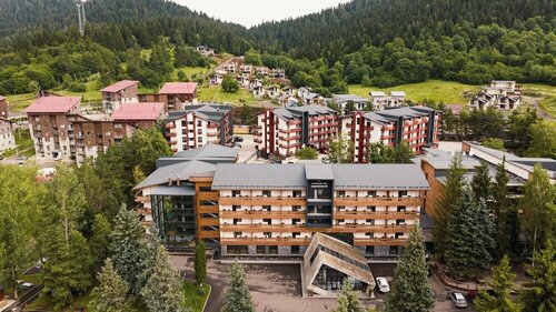Гостиница Hotel Bakuriani Inn в Бакуриани