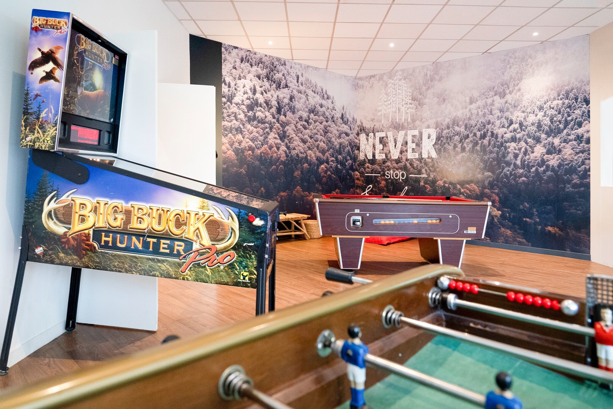 Фото Ibis Styles Domaine De Marlioz