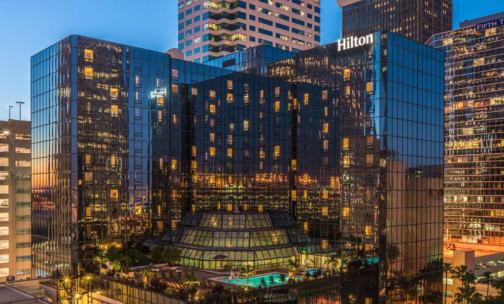 Фото Hilton Tampa Downtown