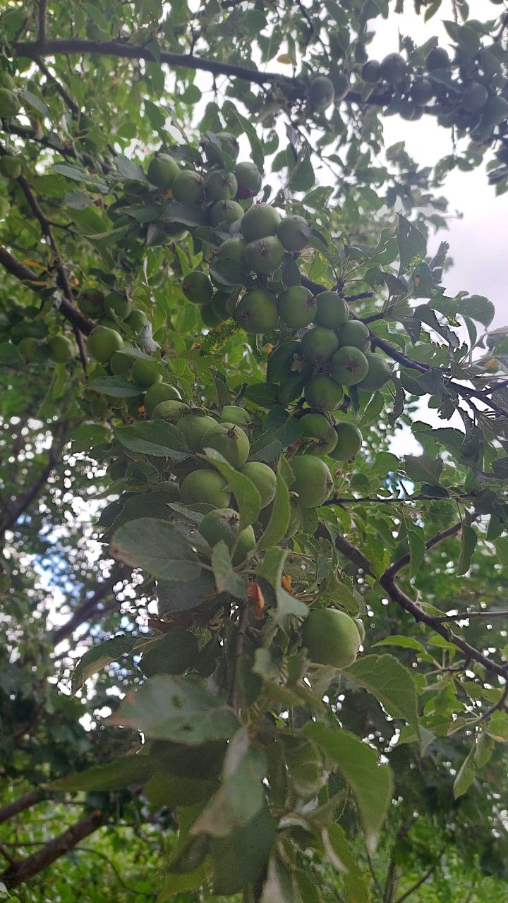 Фото 156473314536