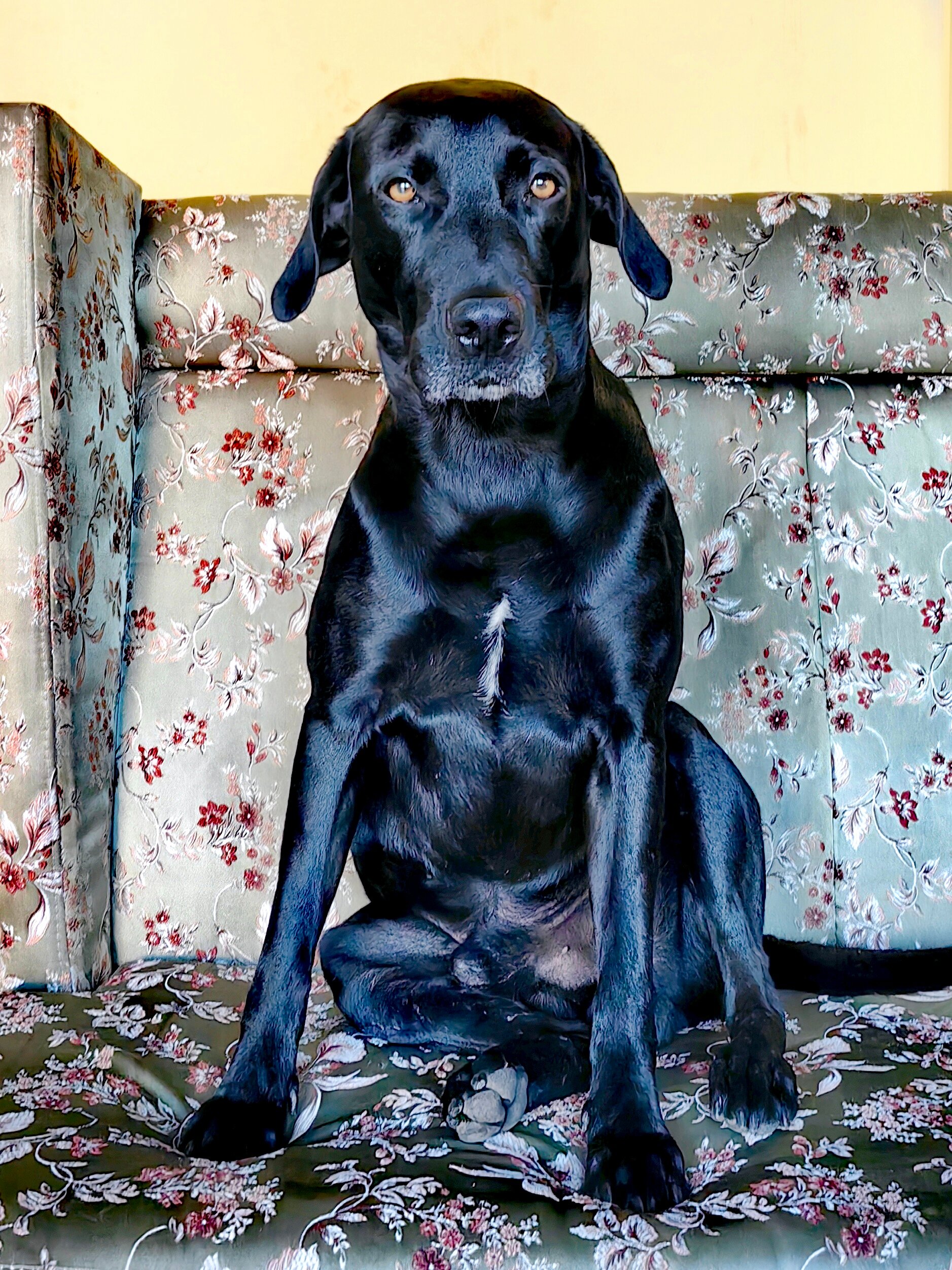 Фото Баунти