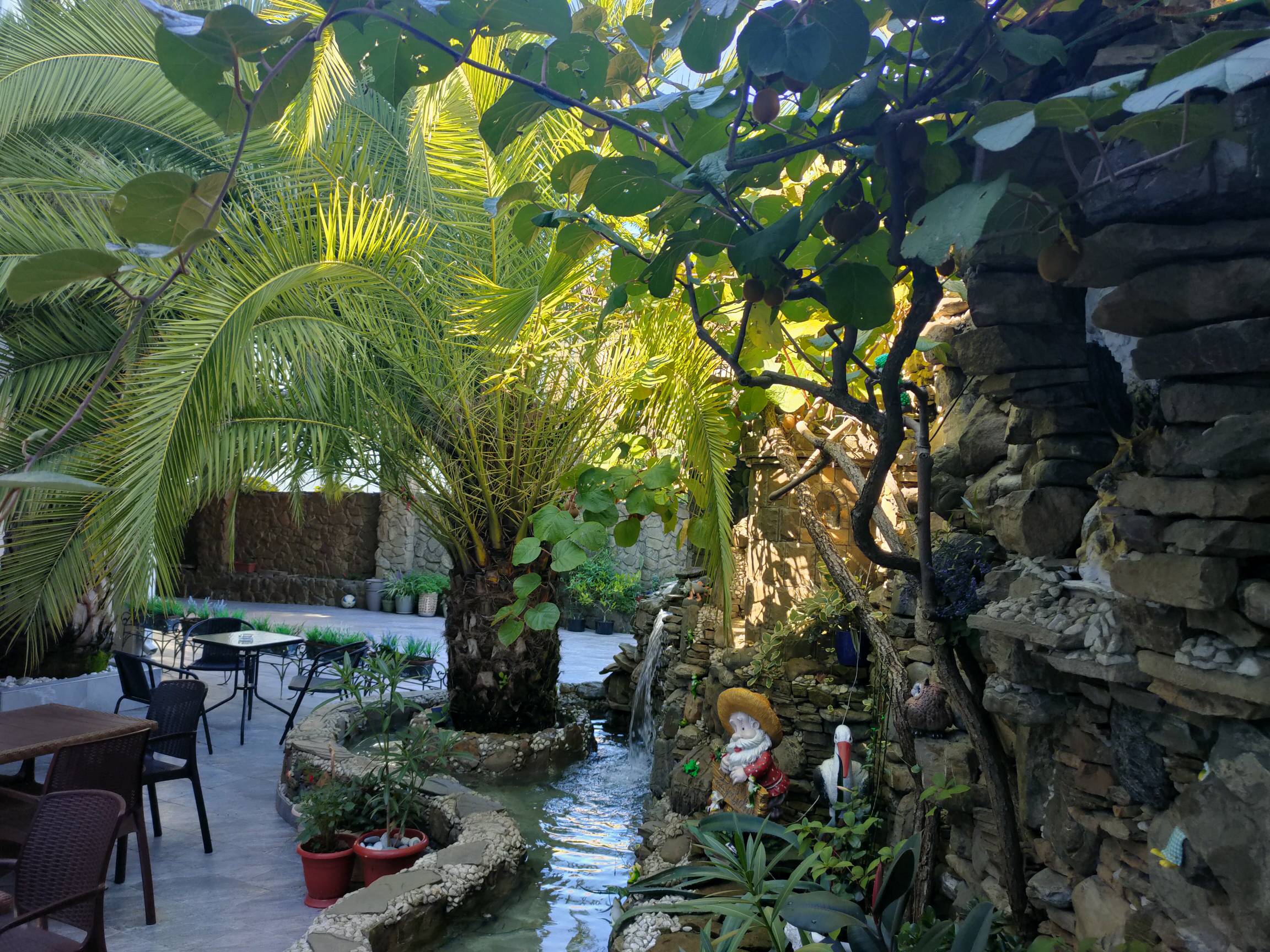 Фото Белый Орёл