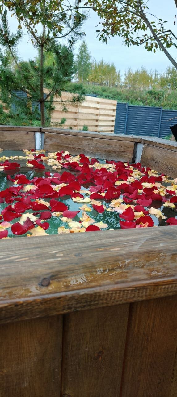 Фото Вдохновение природы