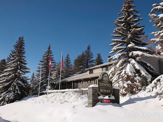 Фото Tunnel Mountain Resort