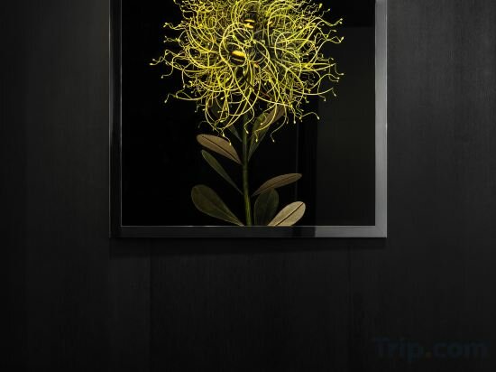 Фото Capella Sydney