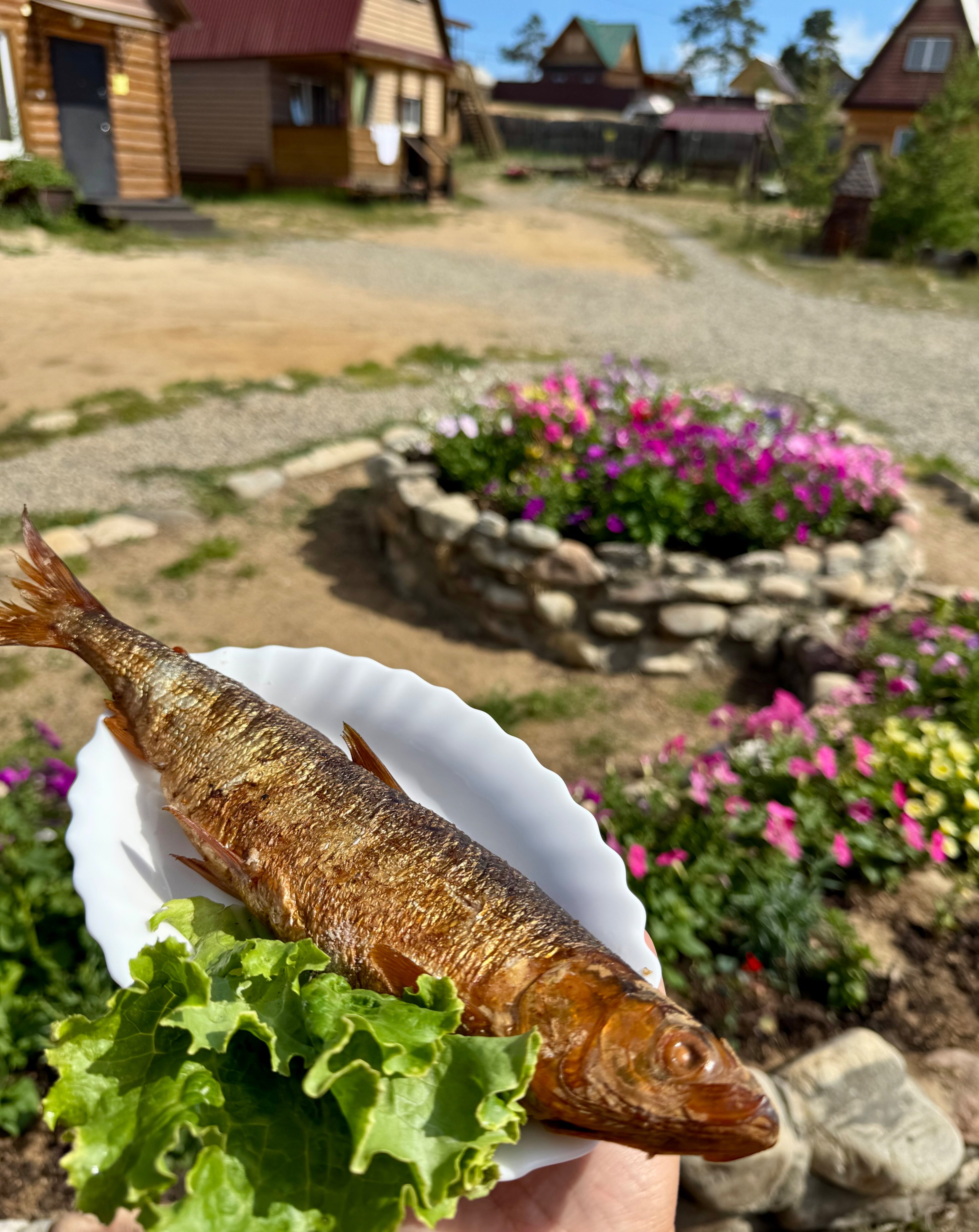 Фото Гостевой дом Отдых на Байкале