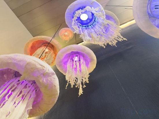 Фото Evenia Rossello