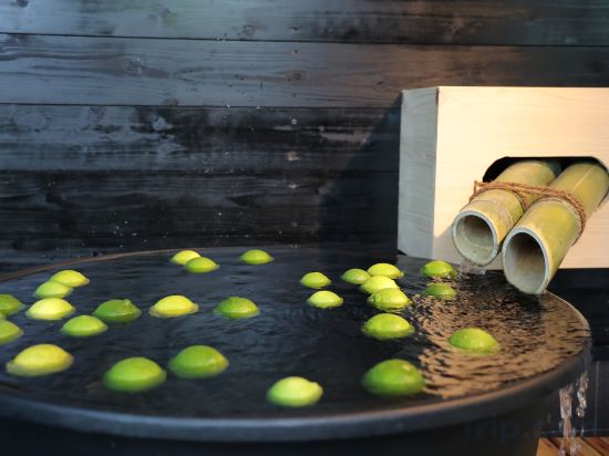 Фото Kawamoto villa 3466