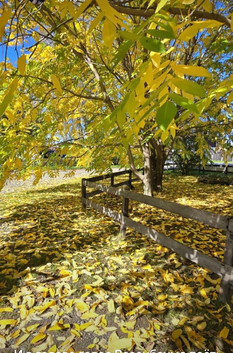 Фото На Радужном берегу