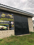 DentArt Pdr (Privokzalnaya ulitsa, 2Г), auto body repair