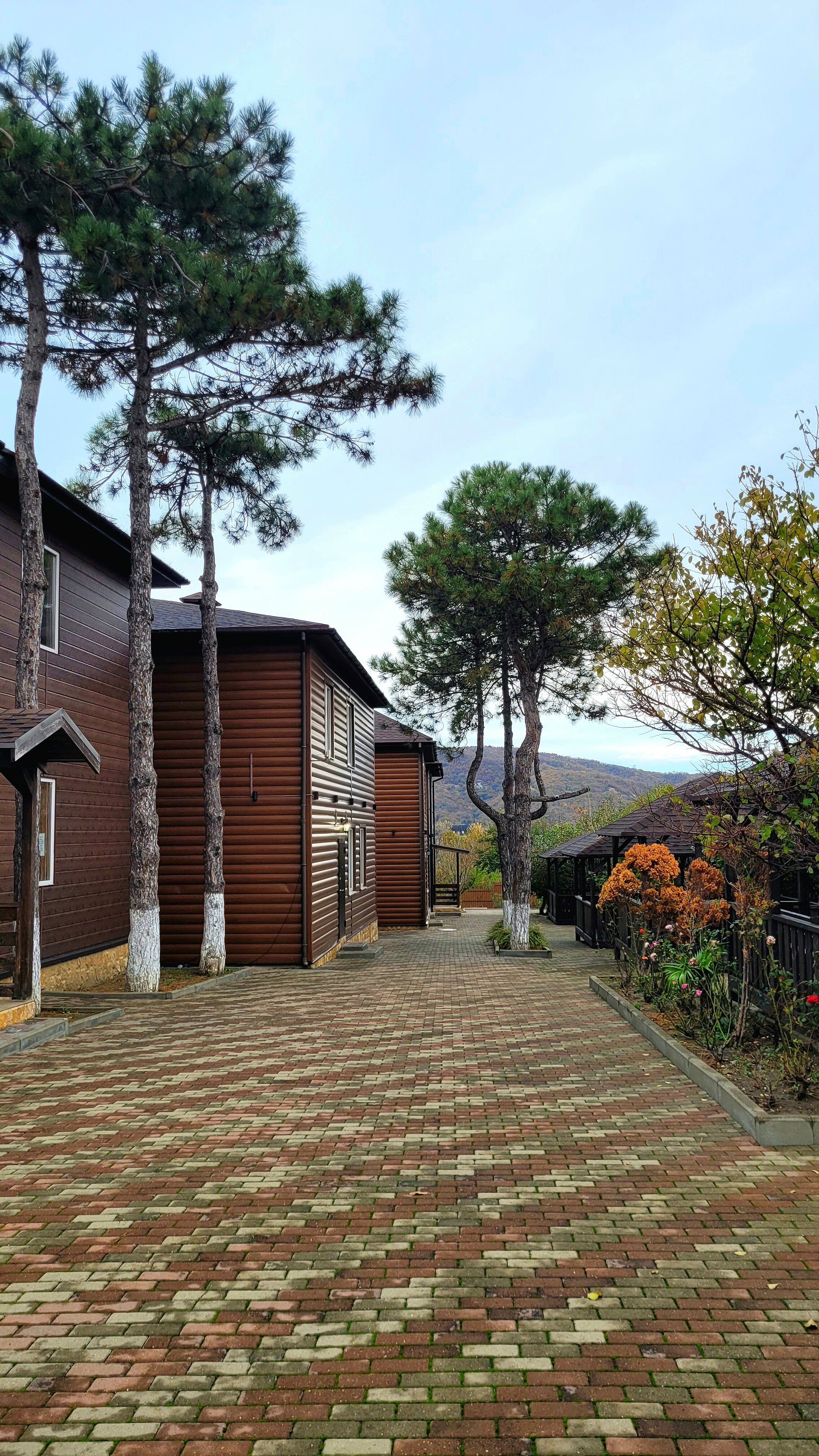 Фото Коттеджи у моря