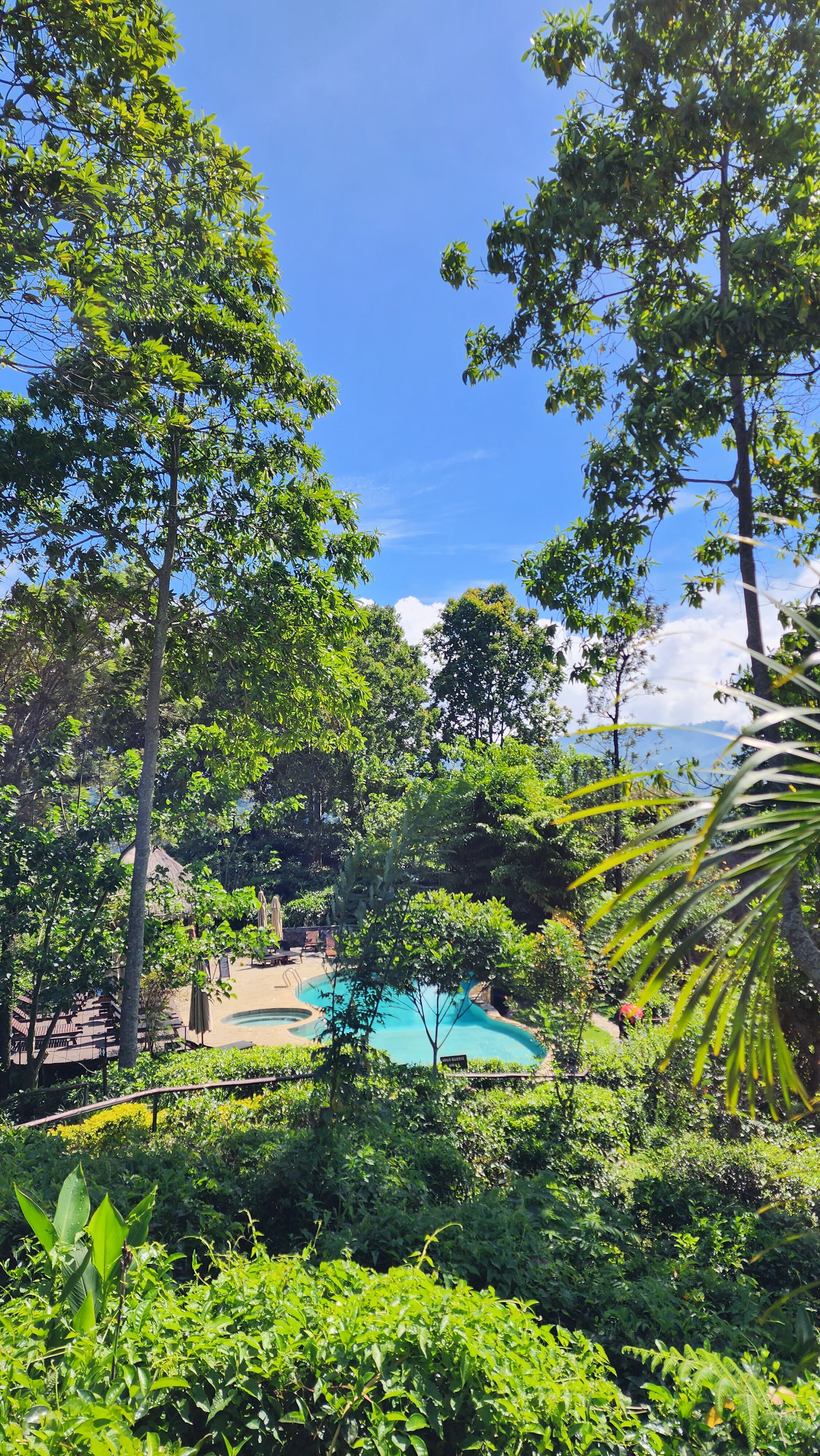 Фото 98 Acres Resort & SPA