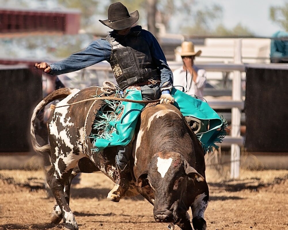 Фото Holiday Inn Denver East, an Ihg Hotel