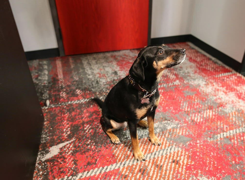 Фото Bobby Hotel