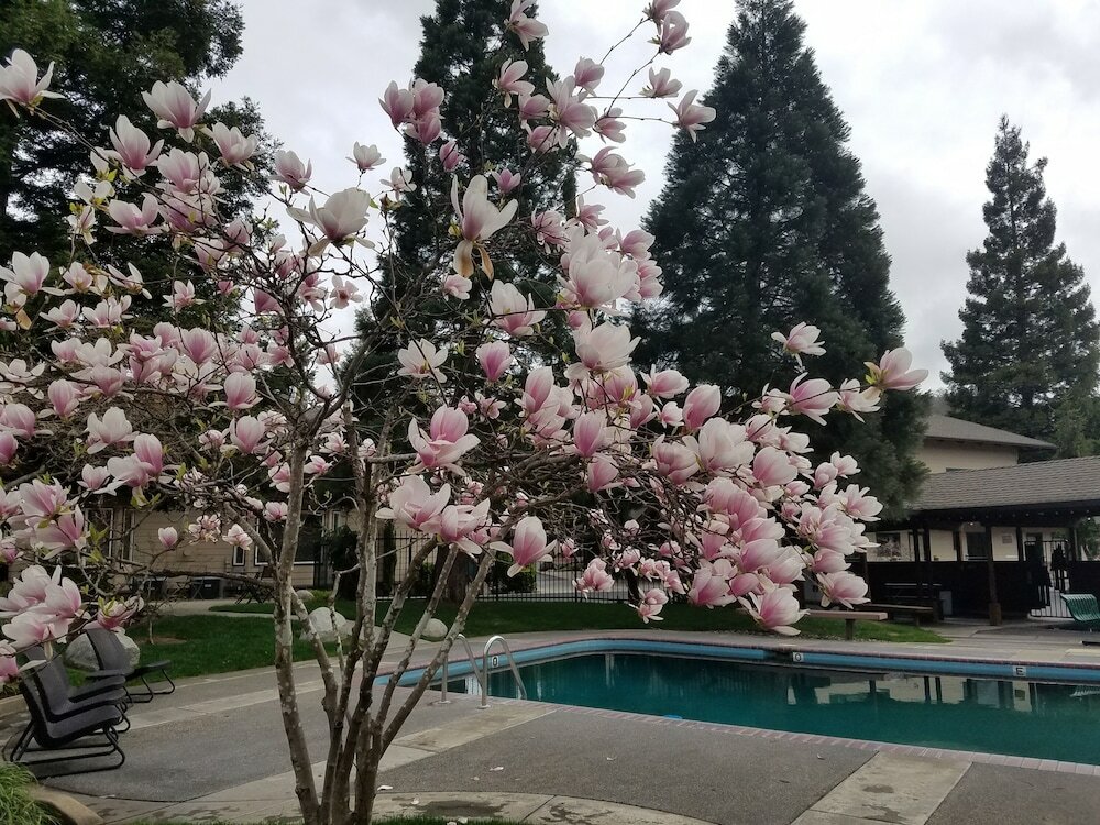 Фото Redwood Hyperion Suites