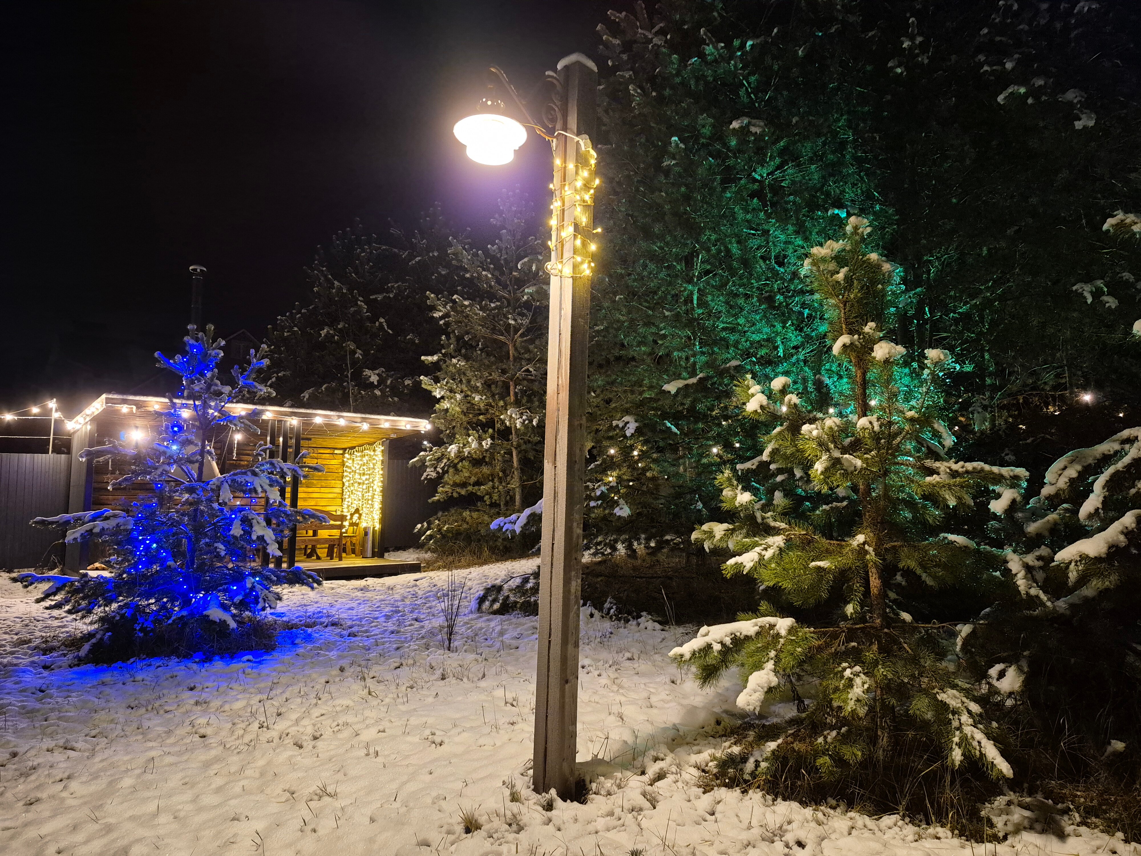 Фото А в лесу