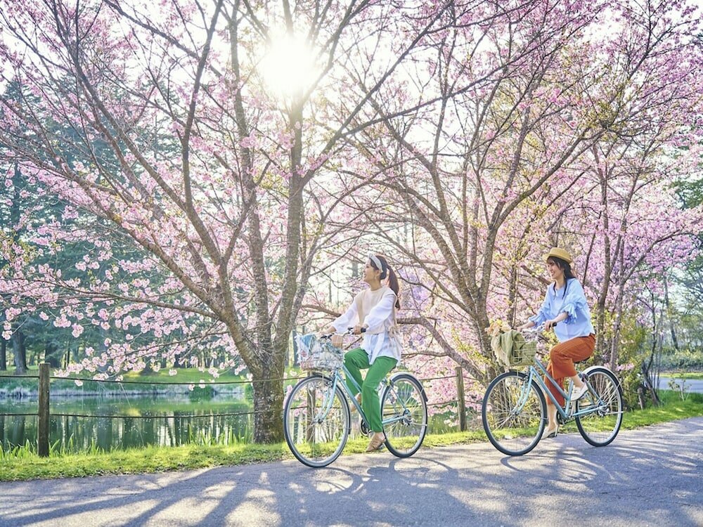 Фото Karuizawa Prince Hotel East