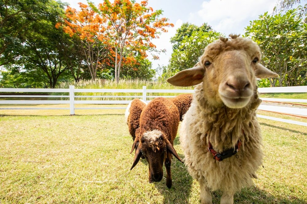 Фото Отель North Hill City Resort