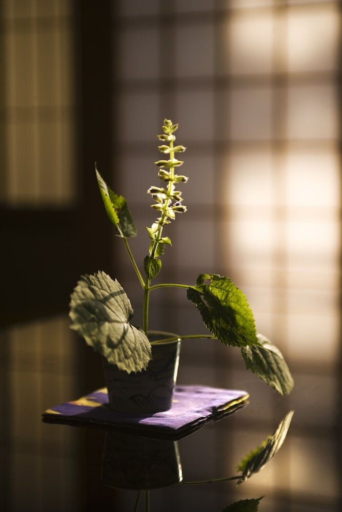 Фото Motoyu Ishiya