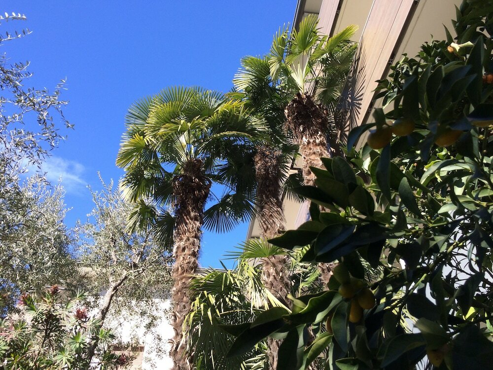 Фото Hotel Villa Franca