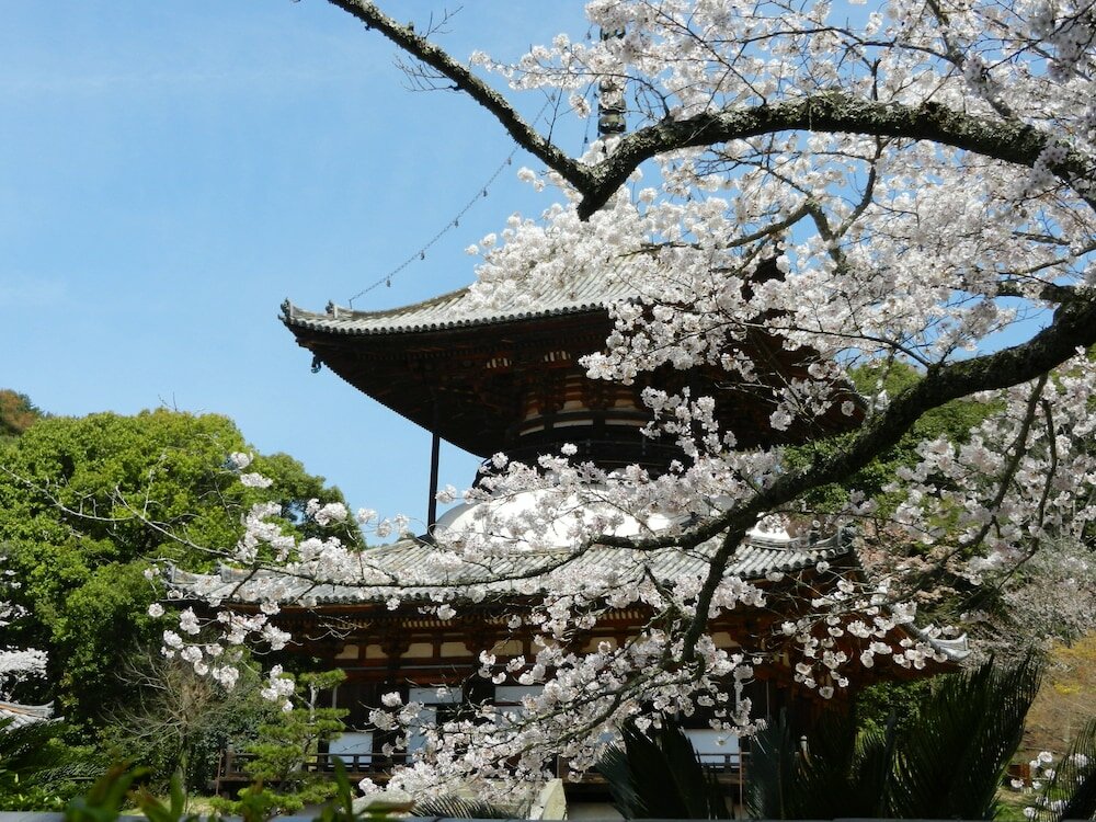 Фото Wakayama Daiichi Fuji Hotel
