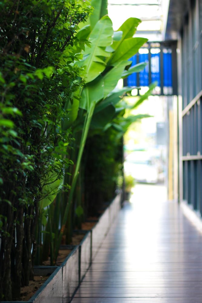 Фото Little Pp Hometel