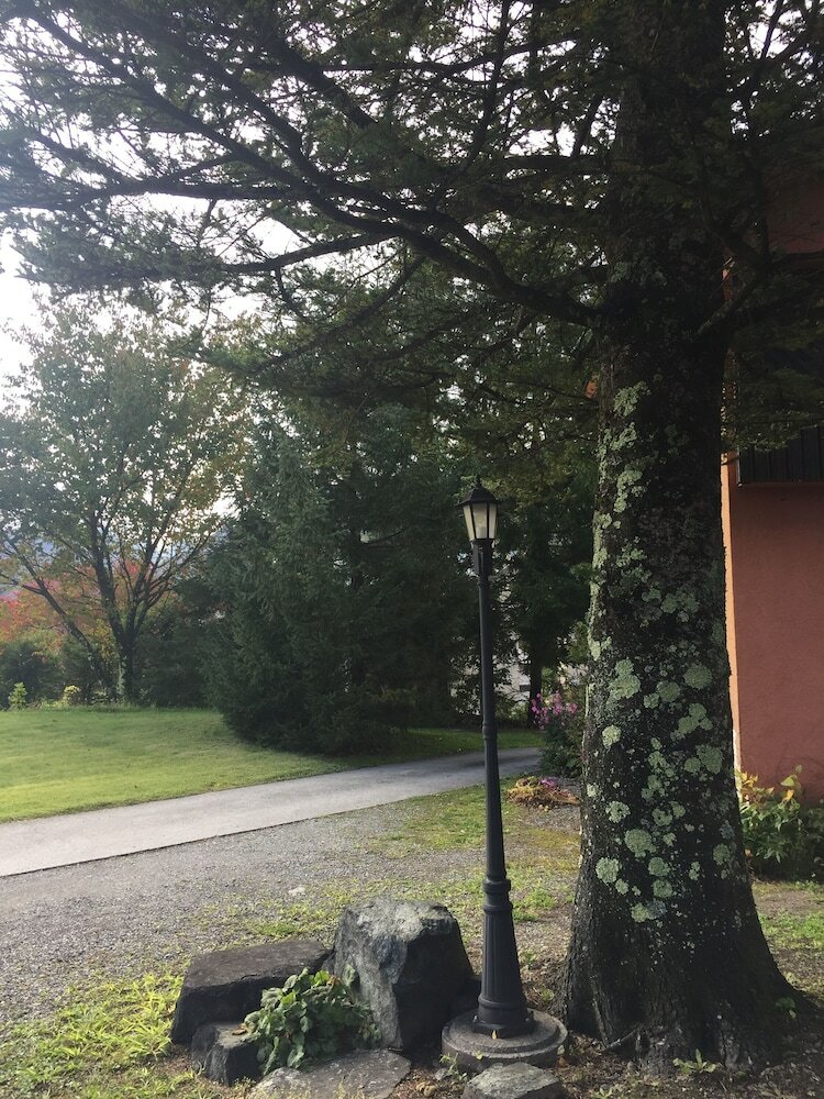 Фото Hakuba Alpine Hotel