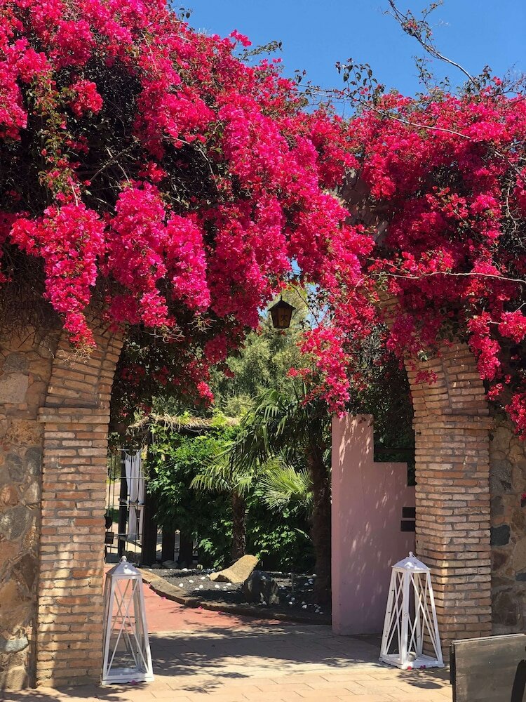 Фото 23766899700