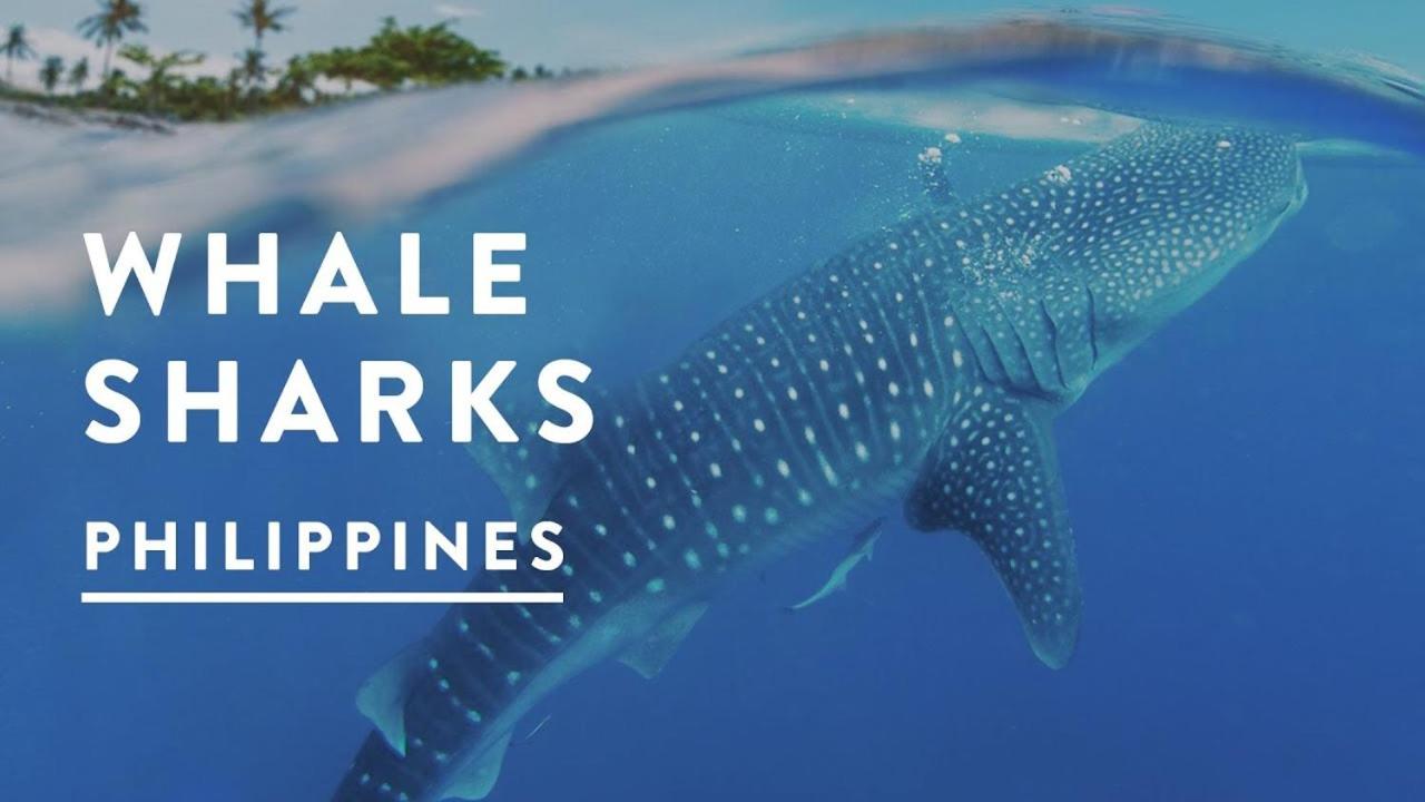 Фото Seakyung Condominium