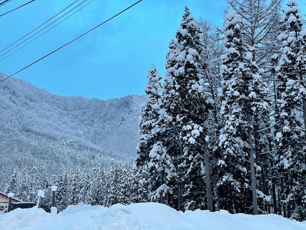 Фото Hakuba Sun Valley Hotel