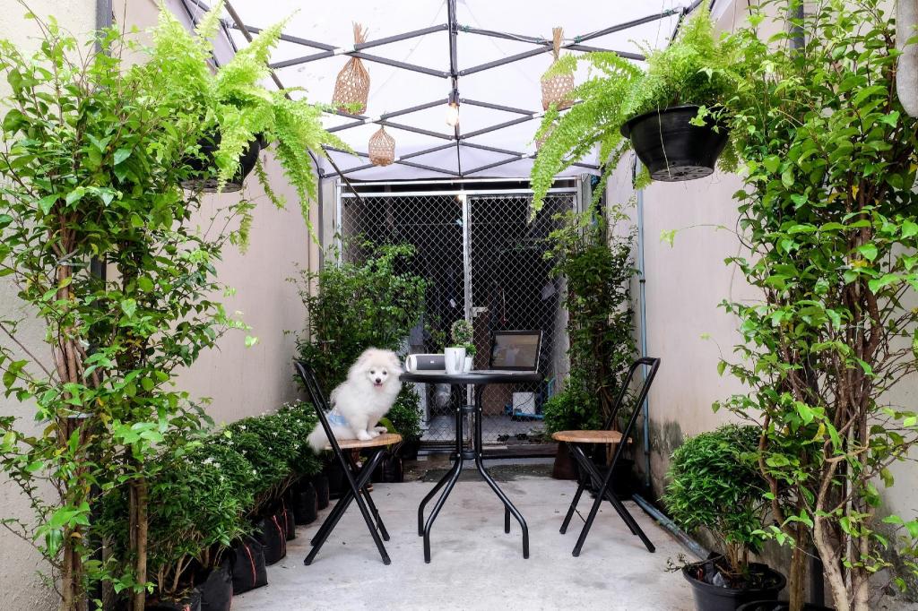 Фото Assembly Hostel