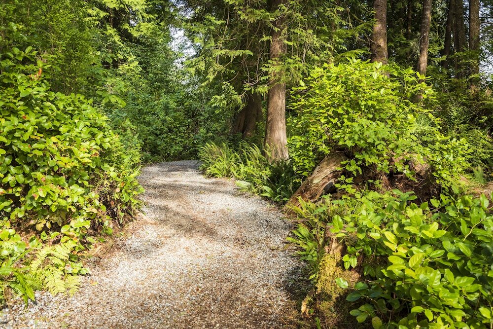 Фото Hotel Zed Tofino