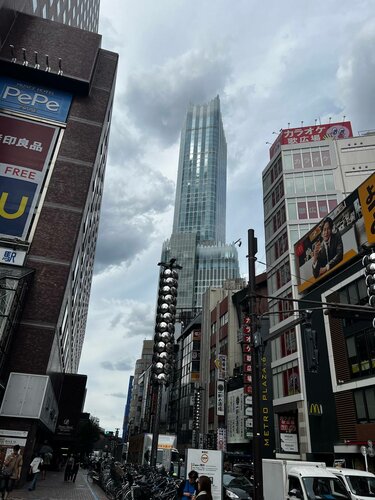 Внешний вид отеля Bellustar Tokyo, A Pan Pacific Hotel в Токио, фото 3