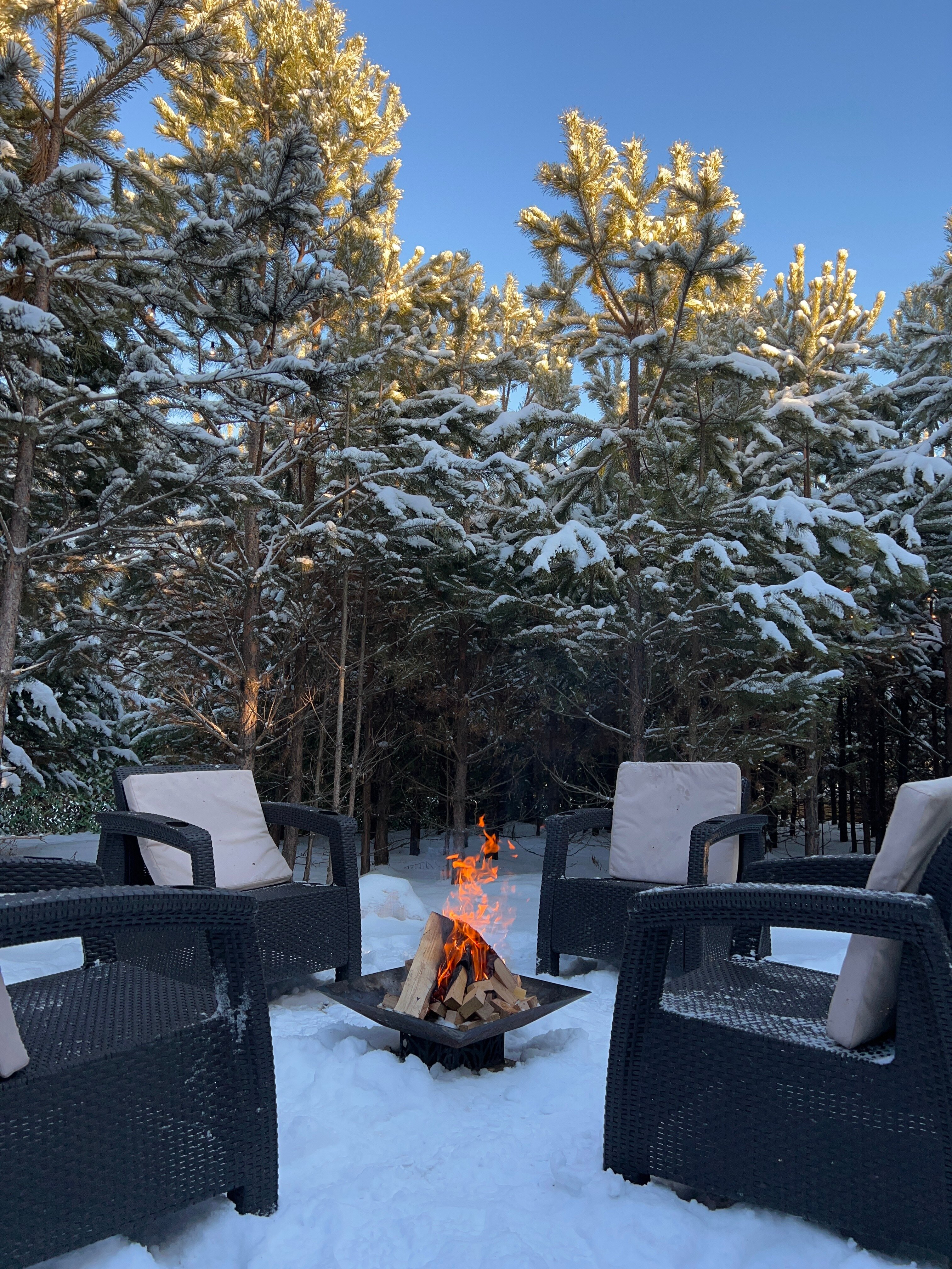 Фото BamBoo Village