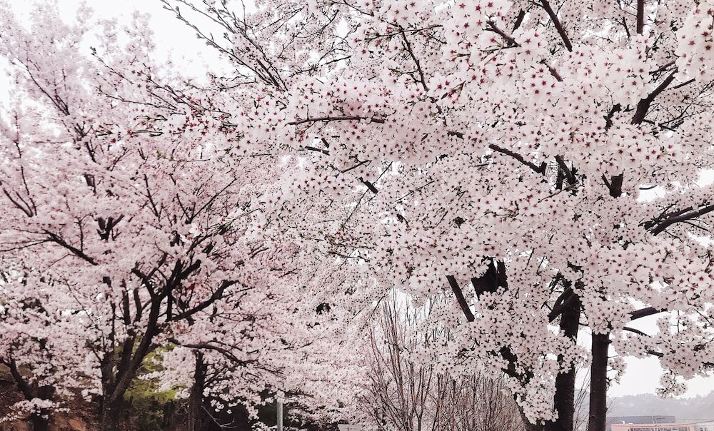 Фото Asia Lakeside Hotel