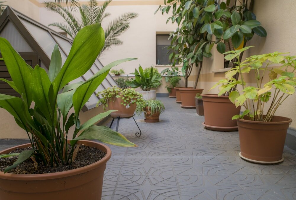Фото Hotel Zentral Mayoral