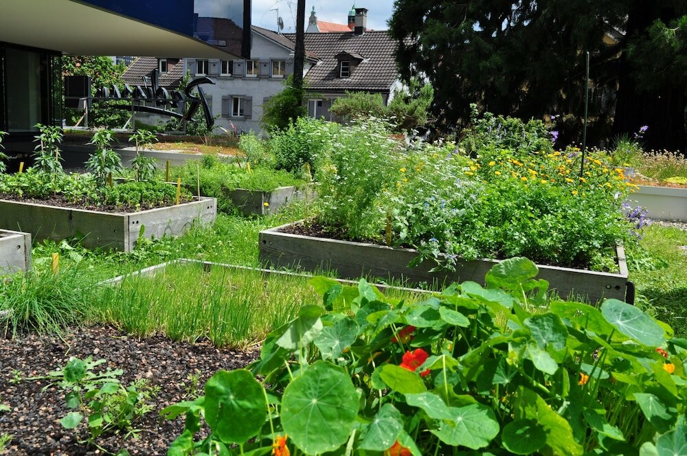 Фото Radisson Blu Hotel, St. Gallen