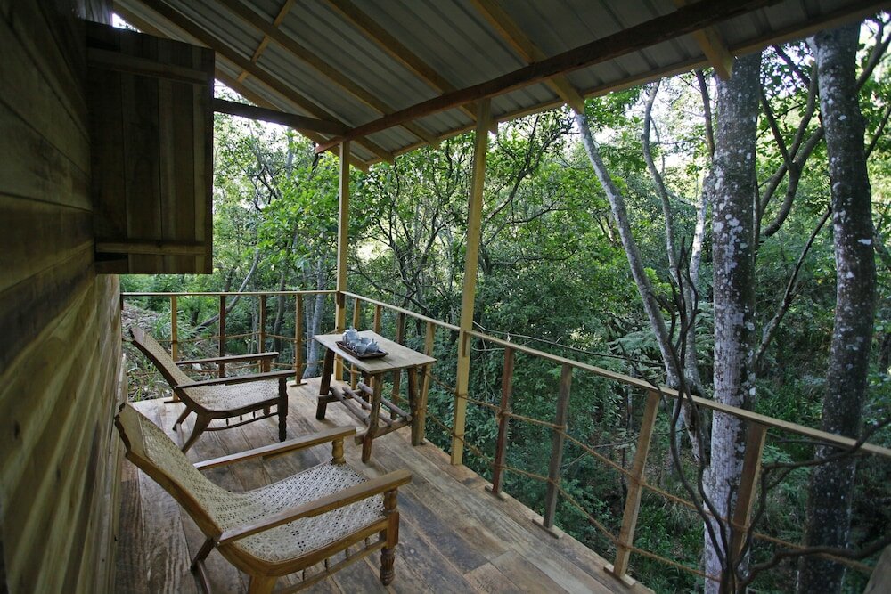 Фото Ella Eco Lodge