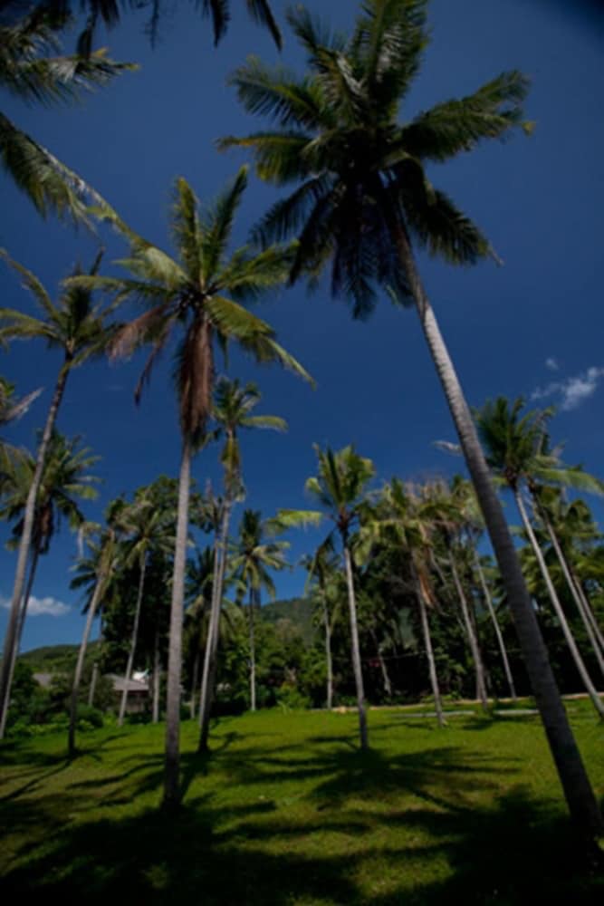 Фото Astrococo beach resort by Coconut Beach