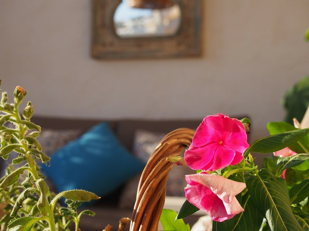 Фото Hotel Ábaco Altea