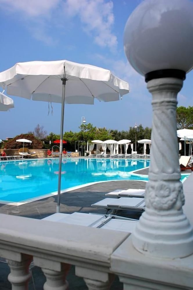 Фото Domizia Palace Hotel